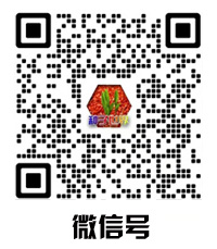 二维码