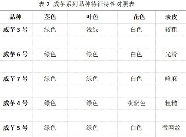表2.jpg