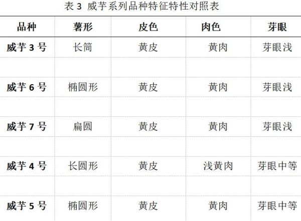表3.jpg