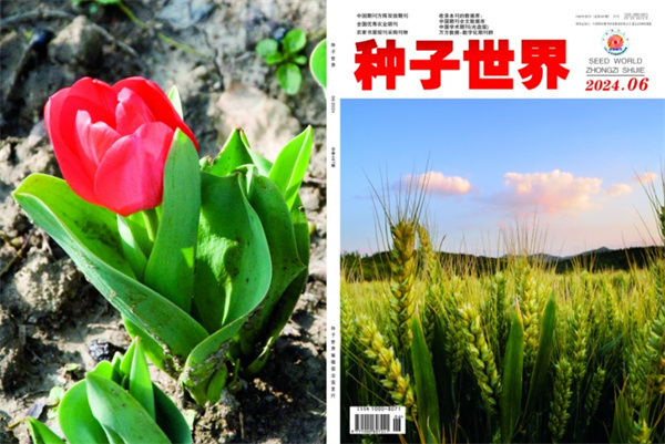 种子世界第6期.jpg