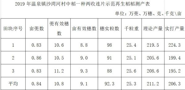 表二.jpg