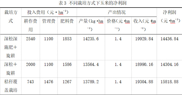表3.jpg