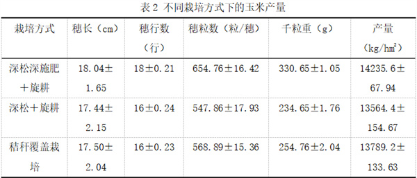 表2.jpg
