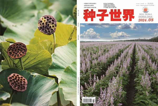 种子8月刊.jpg