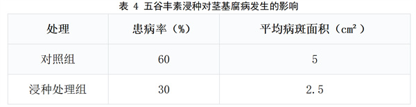 表4.jpg