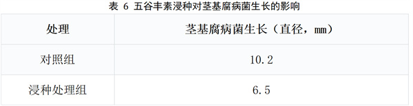 表6.jpg