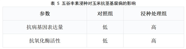 表5.jpg