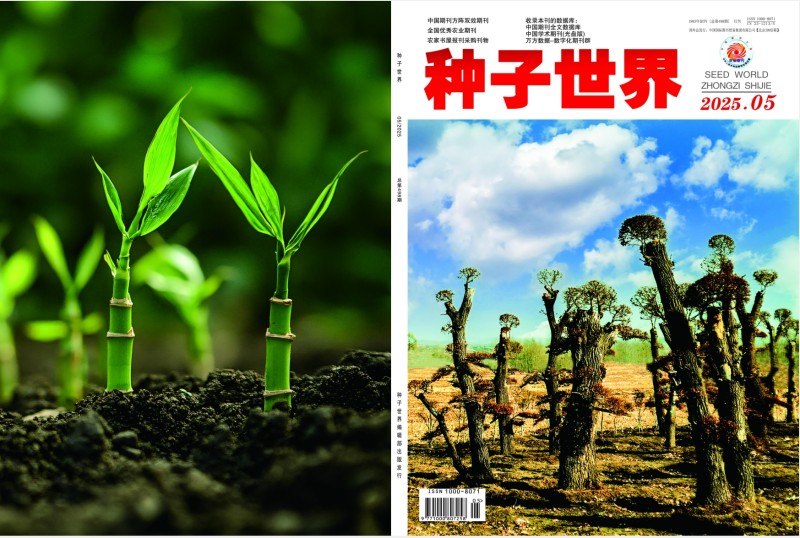 种子5月份.jpg