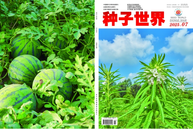 种子07.jpg