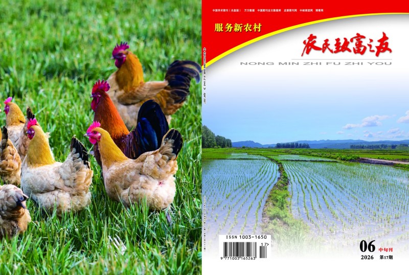 6月中第17期.jpg
