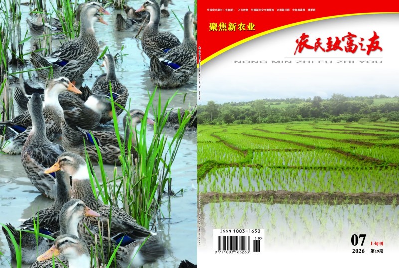 7月上第19期.jpg
