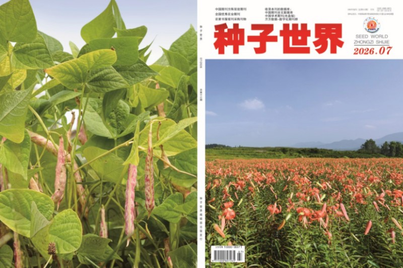 种子2026年7月份.jpg