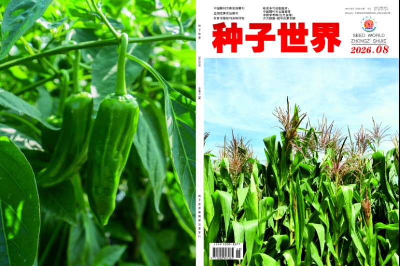 种子2026年8月份.jpg