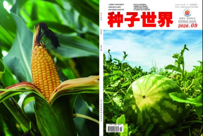 种子2026年9月份.jpg